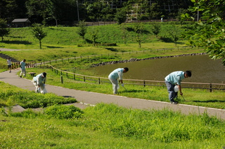 愛宕沼周辺のごみ拾い