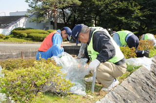 植え込みもきれいに除草