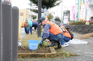 歩道の植え込みもすっきり