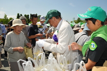 シモツケの苗木がプレゼント