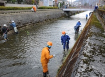 川に入り護岸の草などを除去